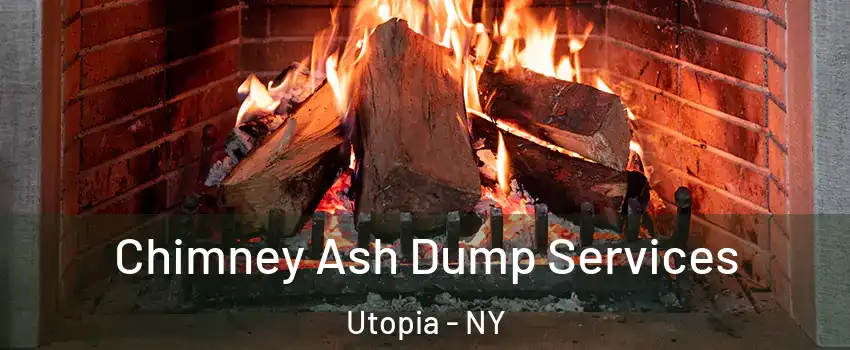 Chimney Ash Dump Services Utopia - NY