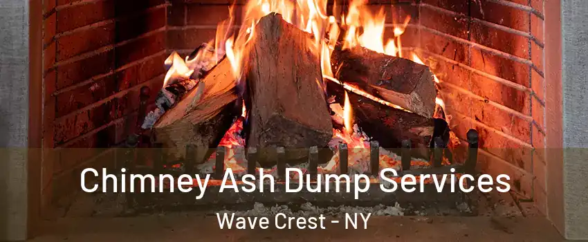 Chimney Ash Dump Services Wave Crest - NY