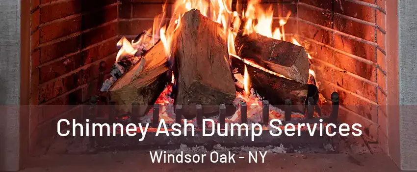 Chimney Ash Dump Services Windsor Oak - NY