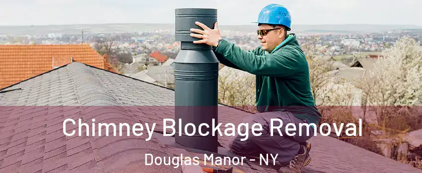 Chimney Blockage Removal Douglas Manor - NY