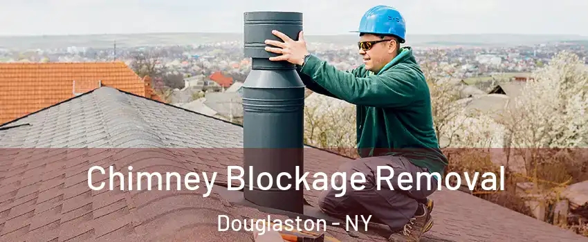 Chimney Blockage Removal Douglaston - NY