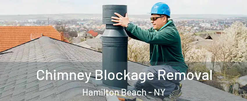 Chimney Blockage Removal Hamilton Beach - NY