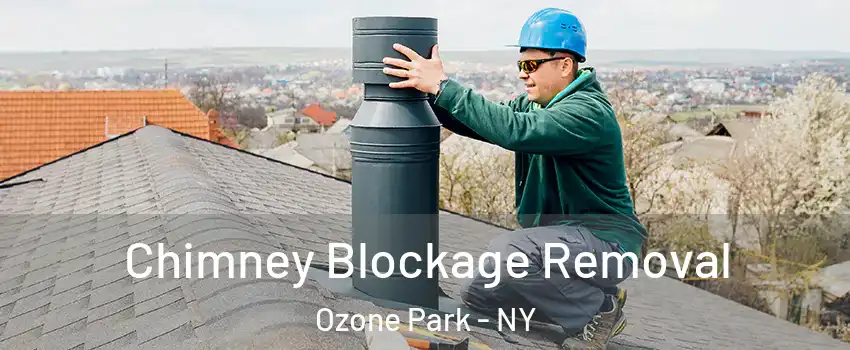 Chimney Blockage Removal Ozone Park - NY