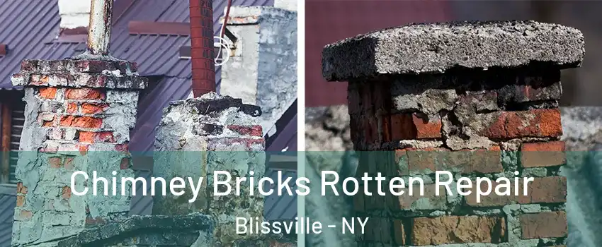 Chimney Bricks Rotten Repair Blissville - NY