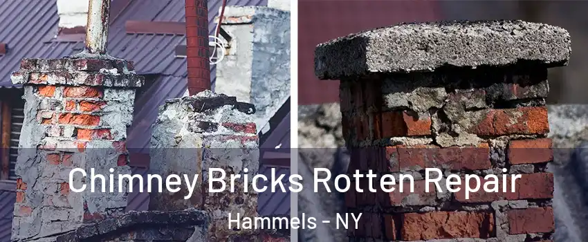 Chimney Bricks Rotten Repair Hammels - NY