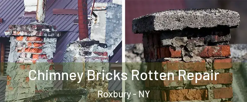 Chimney Bricks Rotten Repair Roxbury - NY