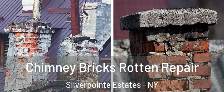 Chimney Bricks Rotten Repair Silverpointe Estates - NY