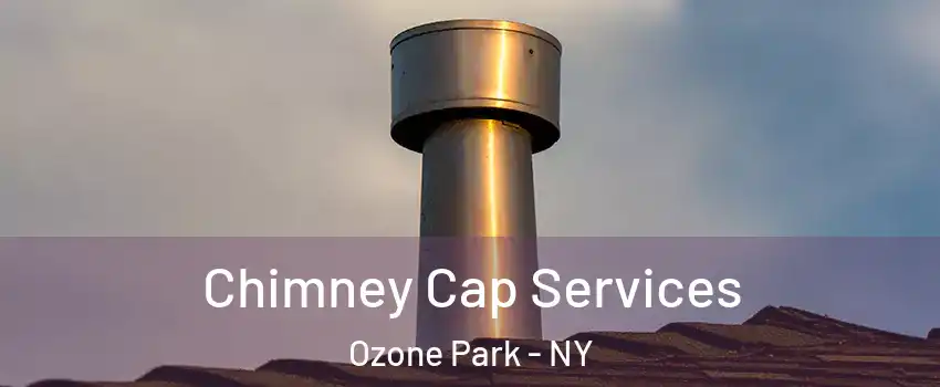 Chimney Cap Services Ozone Park - NY