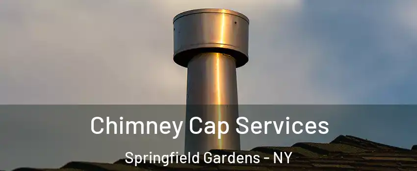 Chimney Cap Services Springfield Gardens - NY