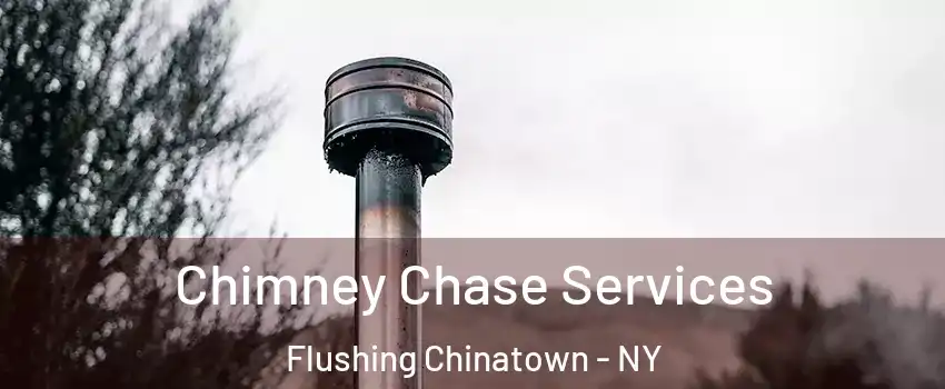 Chimney Chase Services Flushing Chinatown - NY