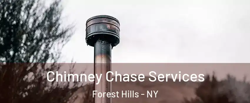 Chimney Chase Services Forest Hills - NY