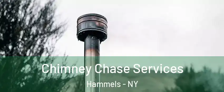 Chimney Chase Services Hammels - NY