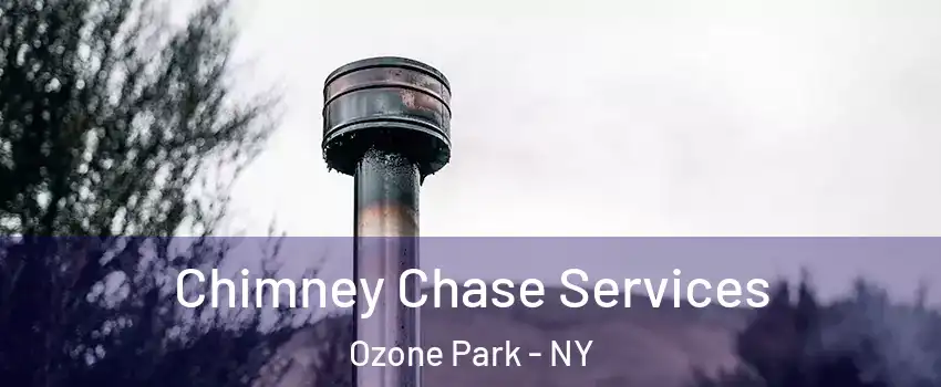 Chimney Chase Services Ozone Park - NY