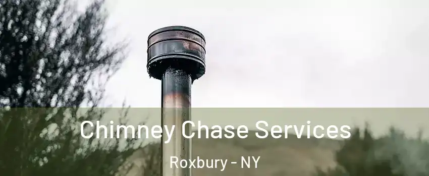 Chimney Chase Services Roxbury - NY