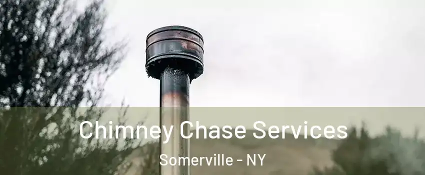 Chimney Chase Services Somerville - NY