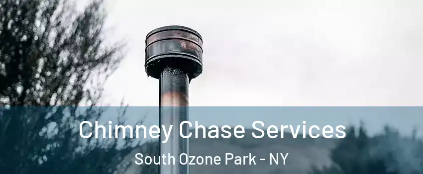 Chimney Chase Services South Ozone Park - NY