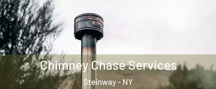 Chimney Chase Services Steinway - NY