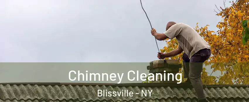 Chimney Cleaning Blissville - NY
