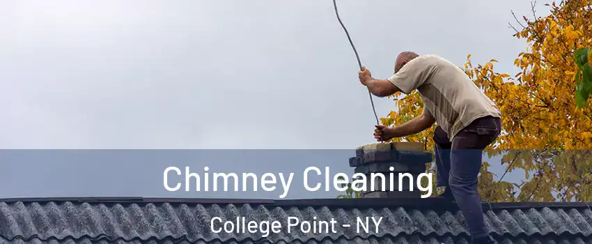 Chimney Cleaning College Point - NY