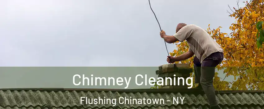 Chimney Cleaning Flushing Chinatown - NY
