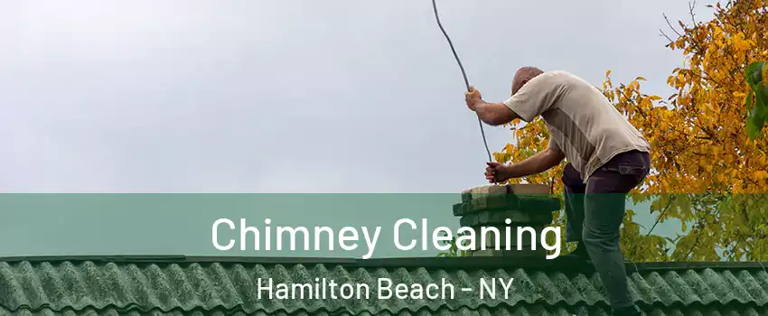 Chimney Cleaning Hamilton Beach - NY