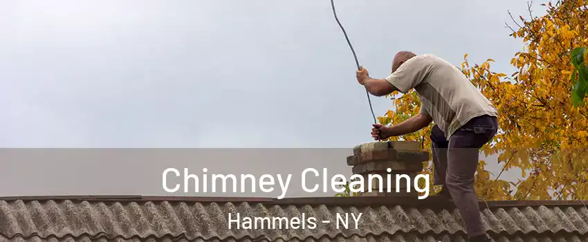 Chimney Cleaning Hammels - NY
