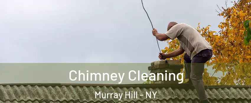 Chimney Cleaning Murray Hill - NY
