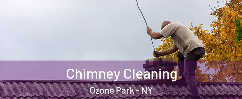 Chimney Cleaning Ozone Park - NY