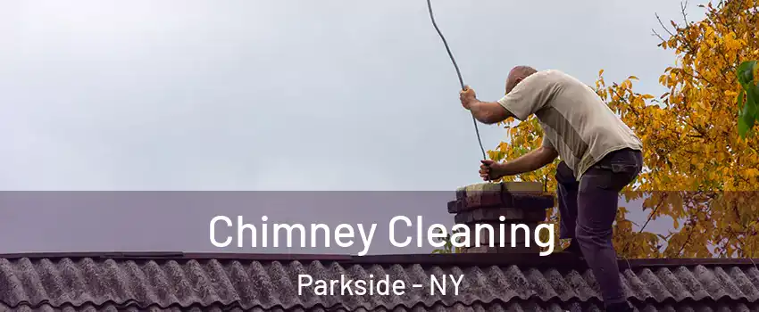 Chimney Cleaning Parkside - NY