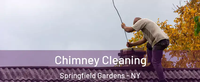Chimney Cleaning Springfield Gardens - NY