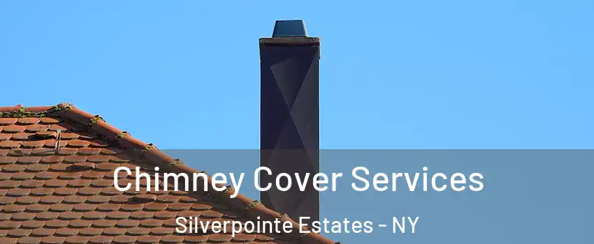 Chimney Cover Services Silverpointe Estates - NY