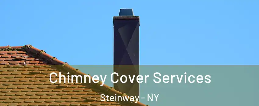 Chimney Cover Services Steinway - NY