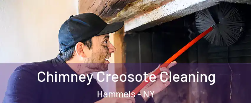 Chimney Creosote Cleaning Hammels - NY