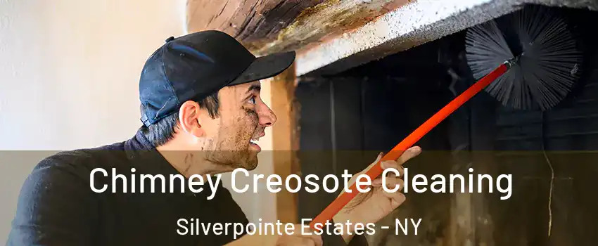 Chimney Creosote Cleaning Silverpointe Estates - NY
