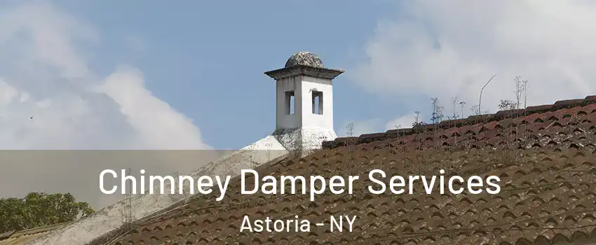Chimney Damper Services Astoria - NY