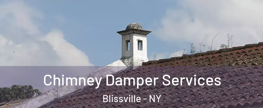 Chimney Damper Services Blissville - NY