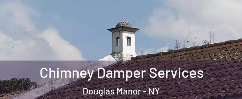 Chimney Damper Services Douglas Manor - NY