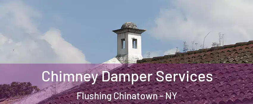 Chimney Damper Services Flushing Chinatown - NY