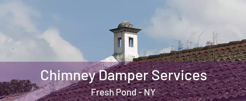 Chimney Damper Services Fresh Pond - NY