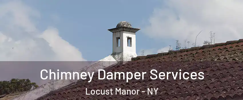 Chimney Damper Services Locust Manor - NY