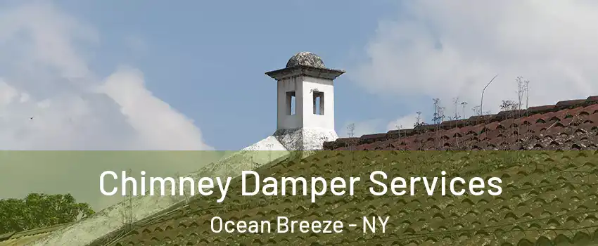 Chimney Damper Services Ocean Breeze - NY