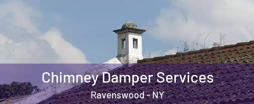 Chimney Damper Services Ravenswood - NY