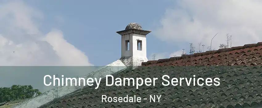 Chimney Damper Services Rosedale - NY