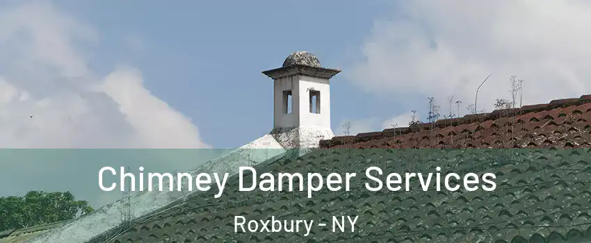 Chimney Damper Services Roxbury - NY