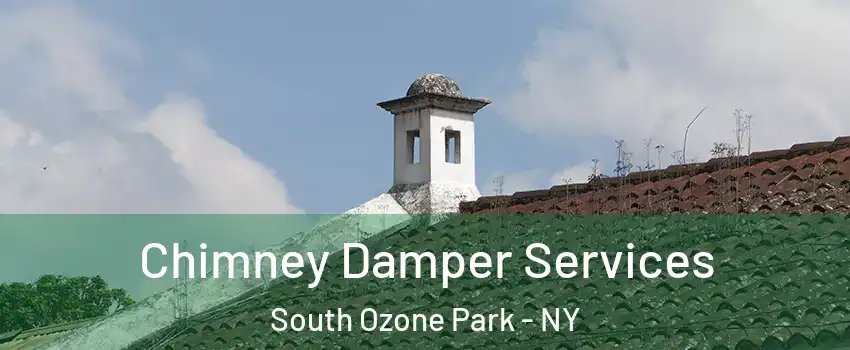 Chimney Damper Services South Ozone Park - NY