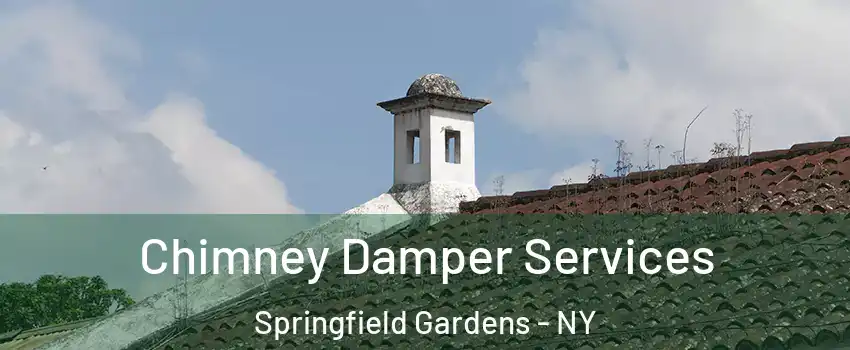 Chimney Damper Services Springfield Gardens - NY