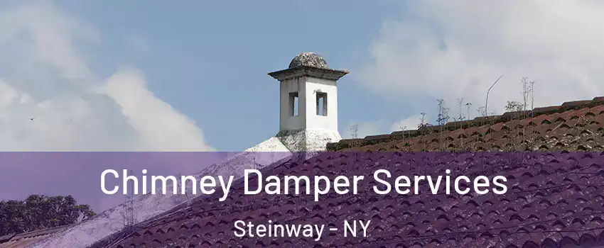 Chimney Damper Services Steinway - NY