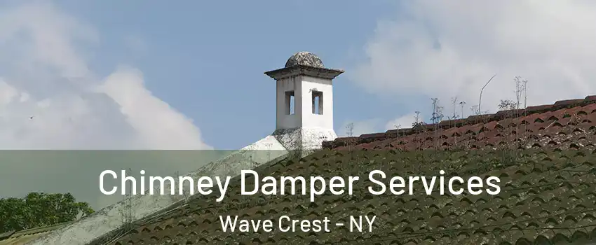 Chimney Damper Services Wave Crest - NY