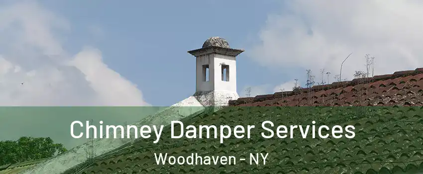 Chimney Damper Services Woodhaven - NY