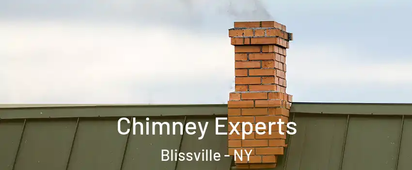 Chimney Experts Blissville - NY